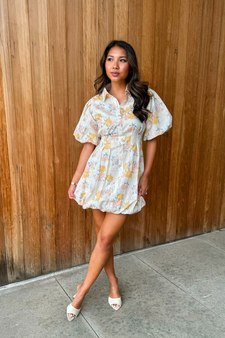 Sweetest of All Vintage Rose Bubble Dress